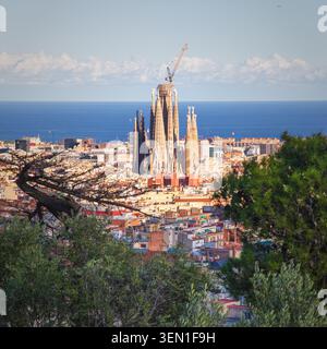 Sagrada Familia und die Skyline von Barcelona vom Hügel Montjuic, Spanien Stockfoto