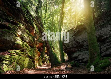 Panoramablick in der Nähe von Trier, Eifel, Rheinland-Pfalz, Deutschland Stockfoto