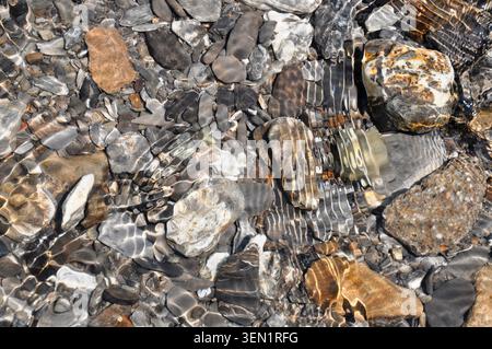 Kieselsteine in flachem, sonnendurchflutetem Wasser Stockfoto