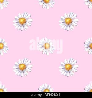 Handgezeichnetes nahtloses Aquarellmuster mit einem Blumenmuster mit weißen Gänseblümchenblümchen vor pastellrosa Hintergrund. Diese schöne Sommerblüte Stockfoto