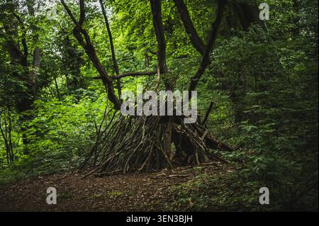 Die Wege und Ausblicke auf den Mönchsberg in der Mozartstadt Salzburg im Frühjahr. Auf dem Bild: Unterschlupf aus Ästen im Wald am Festungsberg Stockfoto