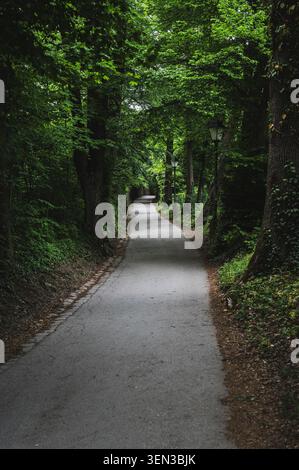 Die Wege und Ausblicke auf den Mönchsberg in der Mozartstadt Salzburg im Frühjahr. Stockfoto