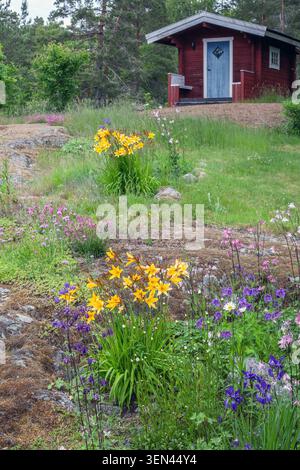Kleine Blumenwiese vor dem Sommerhaus Stockfoto