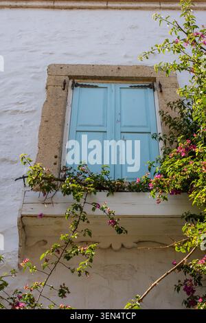 Lebendige rustikale Fenster mit mediterranem Charme durch lebendige Fensterläden und strukturierte Steinfassaden. Stockfoto
