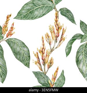 Nahtloses Muster der tropischen Sanchezia speciosa. Handgezeichnete Aquarellillustration mit grünen Blättern Zweig und Blume im botanischen Stil. Dekoratives Hintergrunddesign für Sommertapeten oder Stoff Stockfoto