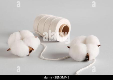 Natürliche Baumwollballen und Spule aus weißem Garn auf einem sauberen grauen Hintergrund für Textil- und Bastelkonzepte, diese Komposition unterstreicht den Rohstoff Stockfoto