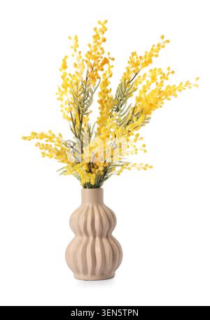 Gelbe Mimosa Blumen in einer modernen beigefarbenen Keramikvase, Wohnkultur und Innenarchitektur Element, das Objekt ist isoliert auf einem sauberen weißen Hintergrund Stockfoto