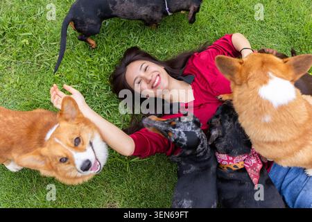 Frau Hund Gras Lächeln Haustier im Freien roten Hemd Begleiter verspielte, lächelnde Frau, die auf grünem Rasen liegt, umgeben von einer freundlichen Hundegruppe während des fröhlichen Outdoo Stockfoto