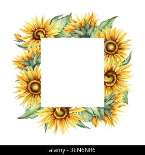 Sonnenblumenrahmen in Aquarellfarben. Gelbe Blumen und grüne Blätter quadratische Vorlage mit Kopierraum. Handgemalte botanische Illustration isoliert von Stockfoto
