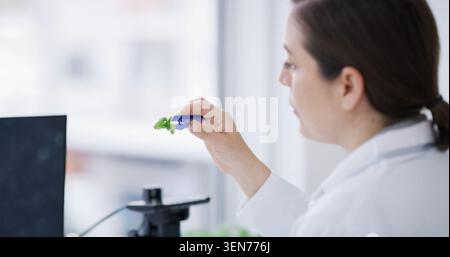 Nachhaltigkeit, Forschung und Frau mit Pflanze im Labor für die Entwicklung, das Wachstum oder die Inspektion von gvo in der Wissenschaft. Biotechnologie, Natur und Wissenschaftler mit Blatt für Stockfoto