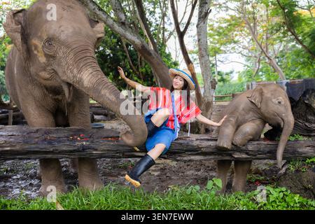 Elefantenfrau Wald Tierreise Natur sitzend Fütterung Holz Hut Frau interagiert mit Elefanten in schlammigen Wald Schutzgebiet mit ruhiger Wildtierszene Stockfoto