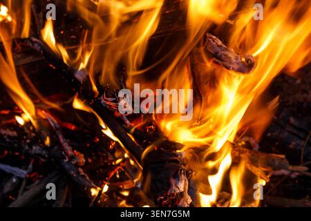 Leuchtende orangefarbene und gelbe Flammen tanzen heftig um brennende Holzstämme und schaffen eine faszinierende, abstrakte Textur aus Wärme und Licht in der Dunkelheit Stockfoto