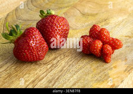 Normale Erdbeeren und lustige Erdbeeren auf einer Holzoberfläche Stockfoto