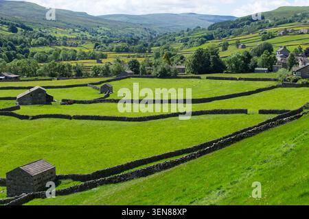 Traditionelle Steinfelder und Trockenmauern in den Heuwiesen von Gunnerside Bottoms in den Yorkshire Dales mit Blick nach Westen auf Swaledale Stockfoto