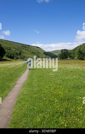 Menschen, die einen öffentlichen Fußweg entlang der traditionellen Heu- und Wildblumenwiesen bei Muker in den Yorkshire Dales, North Yorkshire, Unternehmen. Stockfoto