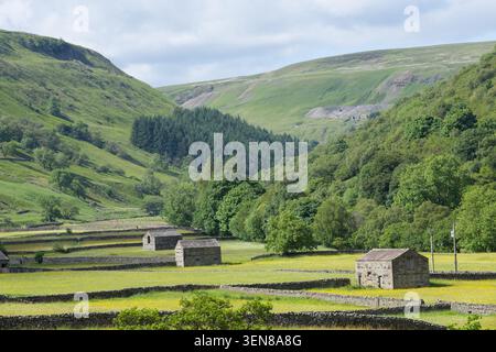 Ein Blick nach Norden von Muker, North Yorkshire, über die wilden Blumenwiesen mit traditionellen Feldscheunen und Trockenmauern an einem Sommertag Stockfoto