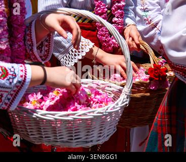 Frauen in traditioneller Kleidung tragen Körbe mit rosa Rosenblumen, die das kulturelle Erbe und die Handwerkskunst in einem festlichen Ambiente hervorheben Stockfoto
