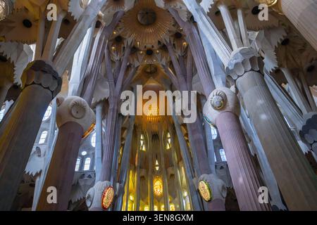 BARCELONA, SPANIEN - 19. MÄRZ 2025: Blick nach oben auf die komplizierten Steinsäulen und die gewölbte Decke in der Sagrada Familia Basilika in Barcelona. Stockfoto