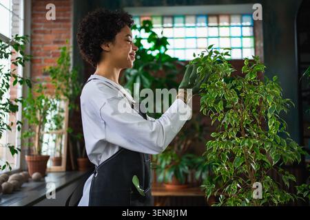 Eigene Geschäfte führen. Afrikanische Floristin mit Schürze, die sich um Pflanzen im botanischen Laden kümmert. Glücklicher Besitzer eines kleinen Unternehmens, der in einem Blumenladen arbeitet, lächelnd umgeben von Pflanzen, Kleinunternehmen Stockfoto