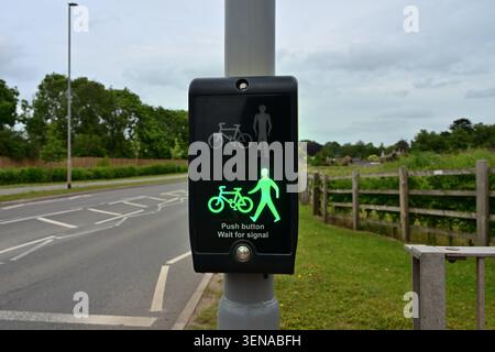 Fußgänger und Radfahrer überqueren das Signal mit grünen Lichtern am Stab Stockfoto