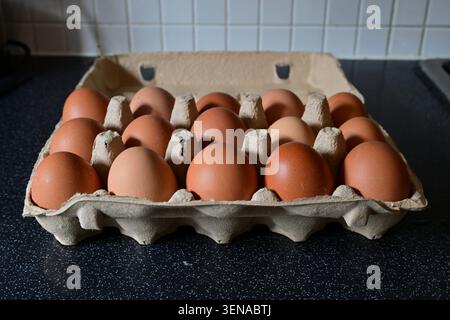 Achtzehn braune Eier im Karton auf der Küchentheke Stockfoto