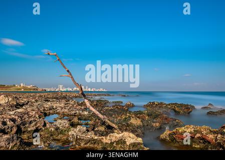 Lange Exposition felsige Küste mit Havanna Skyline in Kuba Stockfoto
