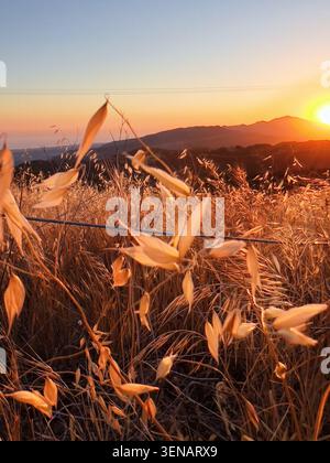 Sonnenuntergangslicht über den Bergen und der Küste von Santa Barbara, Kalifornien, USA. Stockfoto