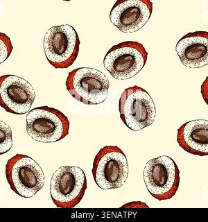 Muster asiatischer Litschi handgezeichnet. Lebensmittellichee, rosa frisch, naturrote asiatische Litschi Vektor-Skizze Illustration Stock Vektor