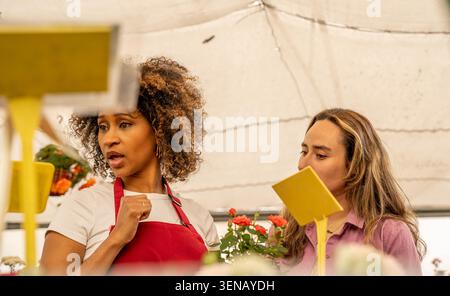 Zwei Frauen arbeiten zusammen in einem Blumenladen Stockfoto