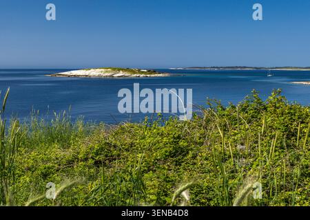 Wunderschönes Küstenpanorama der Insel Levan, Kroatien, umgeben von kristallklarem Adria-Wasser und reicher mediterraner Vegetation. Die felsige Küste Stockfoto