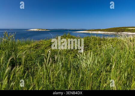Wunderschönes Küstenpanorama der Insel Levan, Kroatien, umgeben von kristallklarem Adria-Wasser und reicher mediterraner Vegetation. Die felsige Küste Stockfoto