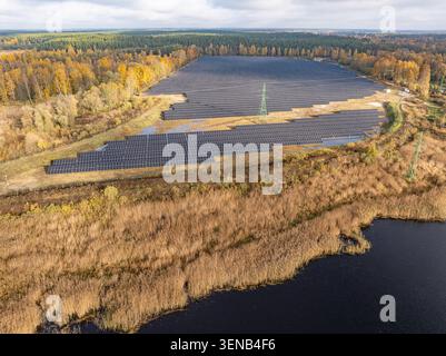 Jaunciems Solarpark in der Nähe von Riga, Lettland, großes Photovoltaik-Kraftwerk umgeben von Herbstwald, Blick auf die Drohne aus der Luft Stockfoto