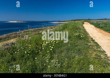 Wunderschönes Küstenpanorama der Insel Levan, Kroatien, umgeben von kristallklarem Adria-Wasser und reicher mediterraner Vegetation. Die felsige Küste Stockfoto