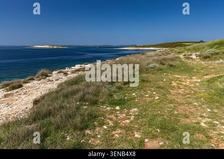 Wunderschönes Küstenpanorama der Insel Levan, Kroatien, umgeben von kristallklarem Adria-Wasser und reicher mediterraner Vegetation. Die felsige Küste Stockfoto