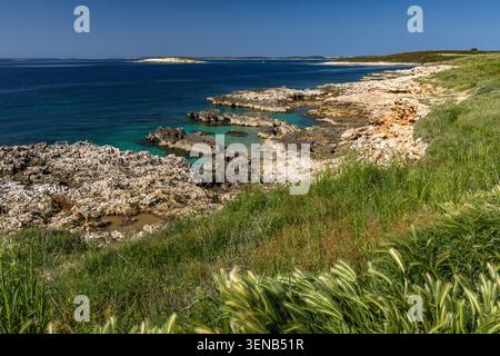 Wunderschönes Küstenpanorama der Insel Levan, Kroatien, umgeben von kristallklarem Adria-Wasser und reicher mediterraner Vegetation. Die felsige Küste Stockfoto
