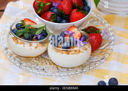Beeren-Käsekuchen-Dessert mit Erdbeeren und Heidelbeeren in Glasbecher Stockfoto