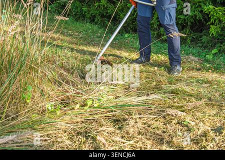 Mähen von hohem Gras mit Schnur-Trimmer im Sommer, Landschaftsgestaltung und Gartenwartungskonzept Stockfoto