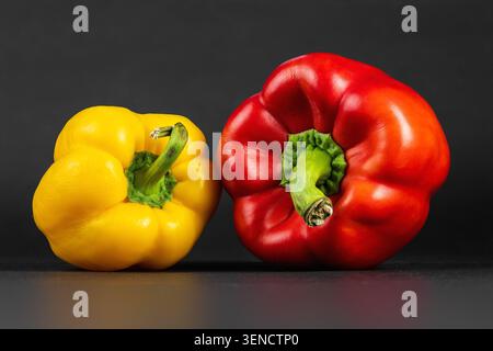 Zwei leuchtende süße Paprika auf dunkler Oberfläche, helle Studiobeleuchtung Stockfoto