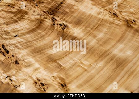 Premium-Maserung aus Holz, elegante organische Struktur mit natürlichen Mustern und handwerklichen Details Stockfoto