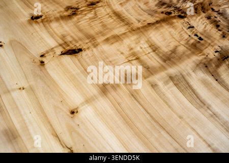 Natürliche helle Holzstruktur mit eleganten Maserungen und Knoten, hochwertiger Hartholzhintergrund für Möbel und Innenarchitektur Stockfoto