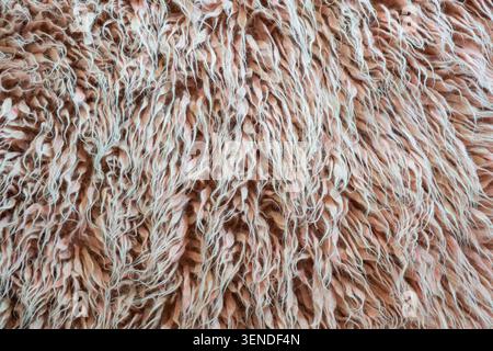 Abstrakte, pelzige Textur mit langen Fasern, kuscheliger pinkfarbener Textilinhalt und weichem Materialdetail Stockfoto