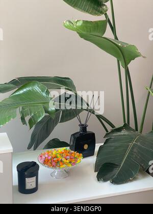 Inneneinrichtung mit einer Pflanze, duftendem Schilfdiffusor, Heidelbeerkerze und einer Schüssel mit Süßigkeiten auf einer weißen Kommode in einem eleganten Fidenza, Emilia Romagna, Italien, Stockfoto