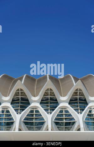 Moderne Architektur des Prinz Philip Science Museum in der Stadt der Künste und Wissenschaften in Valencia Spanien mit weißen geschwungenen Strukturen und blauem Himmel Stockfoto