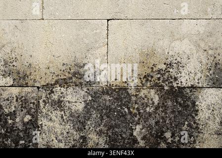 Verwitterte Außenwand mit dunklem Schimmel und Moosflecken. Schmutzige Grunge-Textur, die Feuchtigkeit, Verfall und Feuchtigkeitsschäden zeigt. Stockfoto