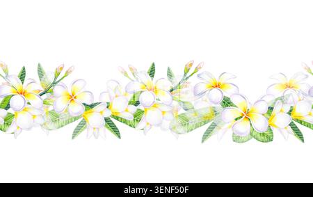 Nahtlose Borte mit tropisch grünen Blättern und zarten Knospen in Aquarellfarben. Isolierte handgezeichnete Aquarellillustration. Stockfoto