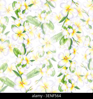 Nahtloses Muster der Plumeria frangipani-Blüte in Aquarellfarben mit üppigen tropisch grünen Blättern und Knospen. Isolierte handgezeichnete Aquarellillustration für Exoti Stockfoto