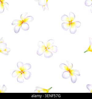 Nahtloses Muster der Plumeria frangipani-Blüten in Aquarellfarben mit tropischen weißen Blüten. Isolierte handgezeichnete Aquarellillustration für kreative Hintergründe Stockfoto