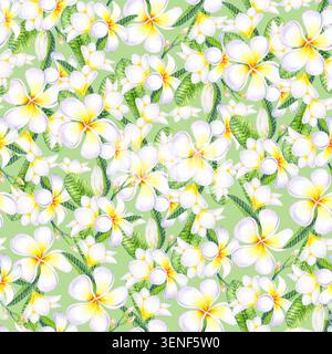 Nahtloses Muster der Plumeria frangipani-Blüte in Aquarellfarben mit tropisch grünen Blättern und Knospen. Handgezeichnete Aquarellillustration für exotische Sommertexte Stockfoto