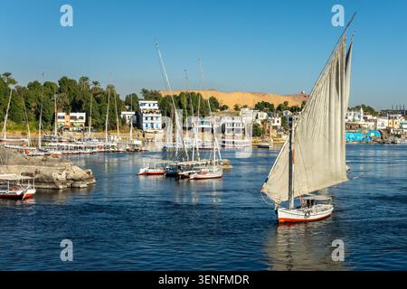 Felucca (traditionelles ägyptisches Segelboot) auf dem Nil in Assuan, Ägypten Stockfoto