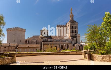 Blick auf die Kathedrale Notre Dame des Doms mit ihrer goldenen Jungfrau-Statue, die sich an einem sonnigen Tag über der historischen Architektur und den grünen Bäumen in Avignon erhebt. Stockfoto